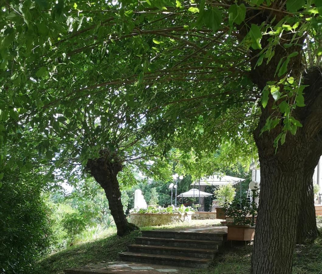 Maison Tuscany Bed&Breakfast Sinalunga Buitenkant foto