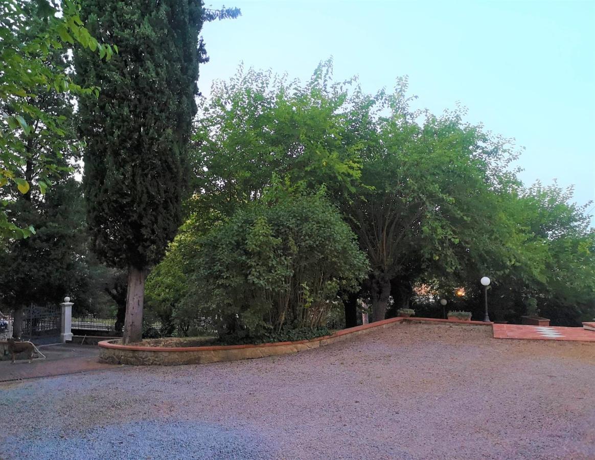 Maison Tuscany Bed&Breakfast Sinalunga Buitenkant foto